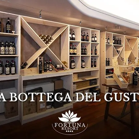 Fortuna Ξενοδοχείο 4*